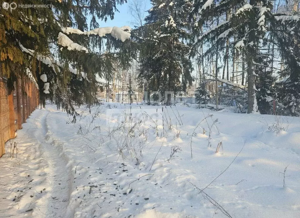 Участок в деревня Тёрновка, Дачная улица (13.35 м) - Фото 1