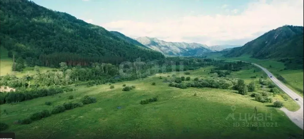 Участок в Алтай, Шебалинский район, с. Мыюта Российская ул. (11.1 ... - Фото 1