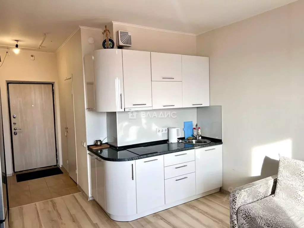 Студия Московская область, Люберцы городской округ, Мирный пгт ул. ... - Фото 2