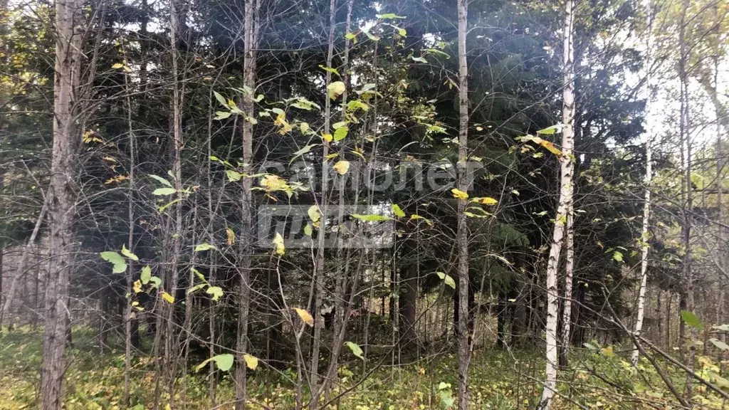 Участок в Томская область, Томск ул. Чайковского, 10 (15.0 сот.) - Фото 2