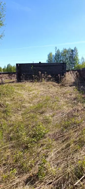 Участок в Новосибирская область, Тогучинский район, Заринка СТ ул. ... - Фото 0