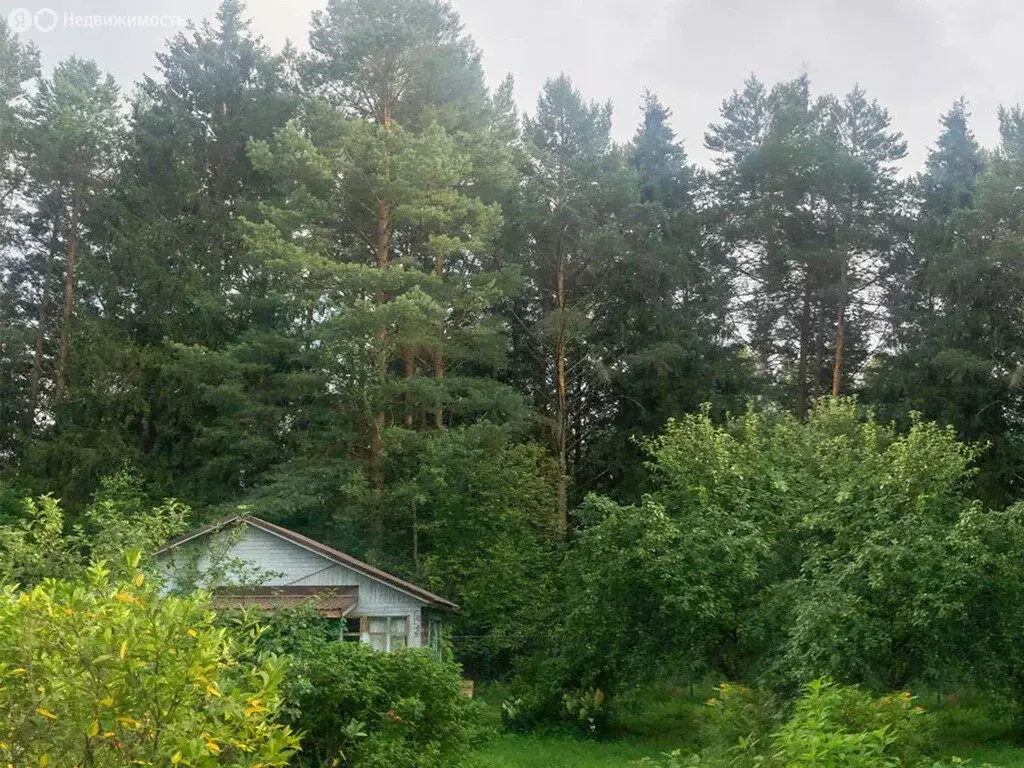 Дом в Московская область, Волоколамский муниципальный округ, деревня ... - Фото 2