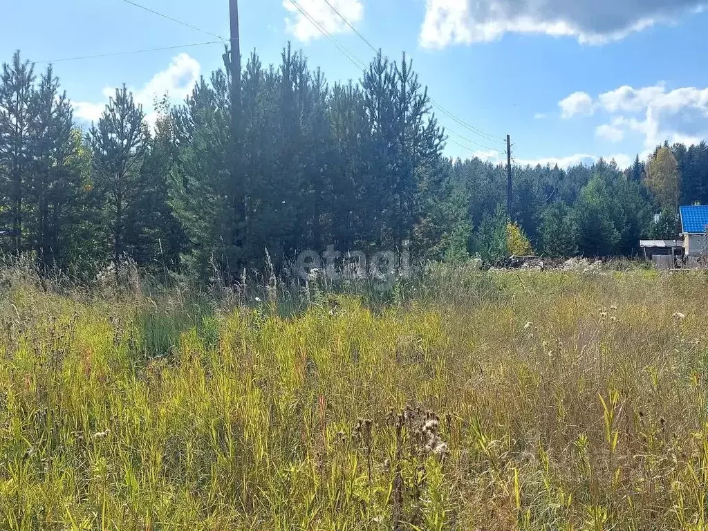 Участок в Свердловская область, Кушва  (10.3 сот.) - Фото 1