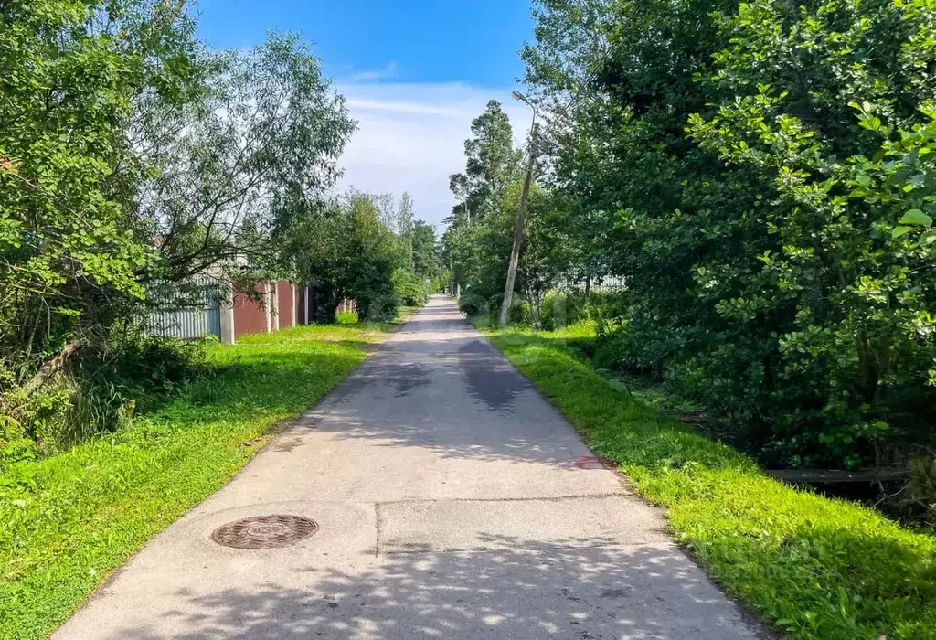 Участок в Санкт-Петербург пос. Лисий Нос, Горская ул. (12.0 сот.) - Фото 1