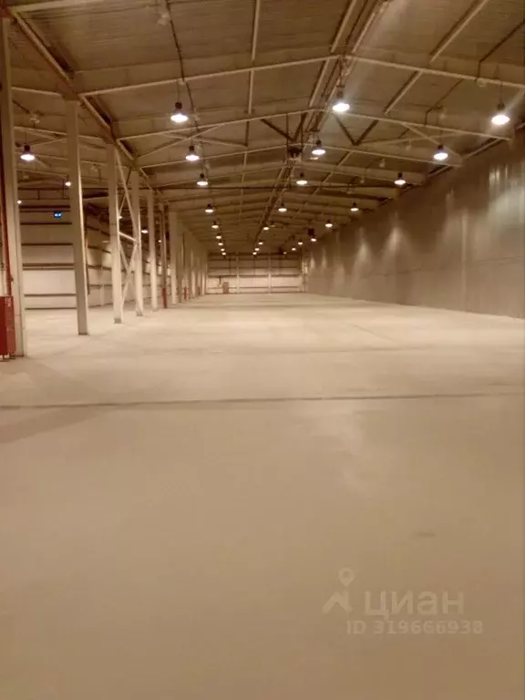 Склад в Московская область, Балашиха Кучино мкр, ул. Гидрогородок, ... - Фото 0