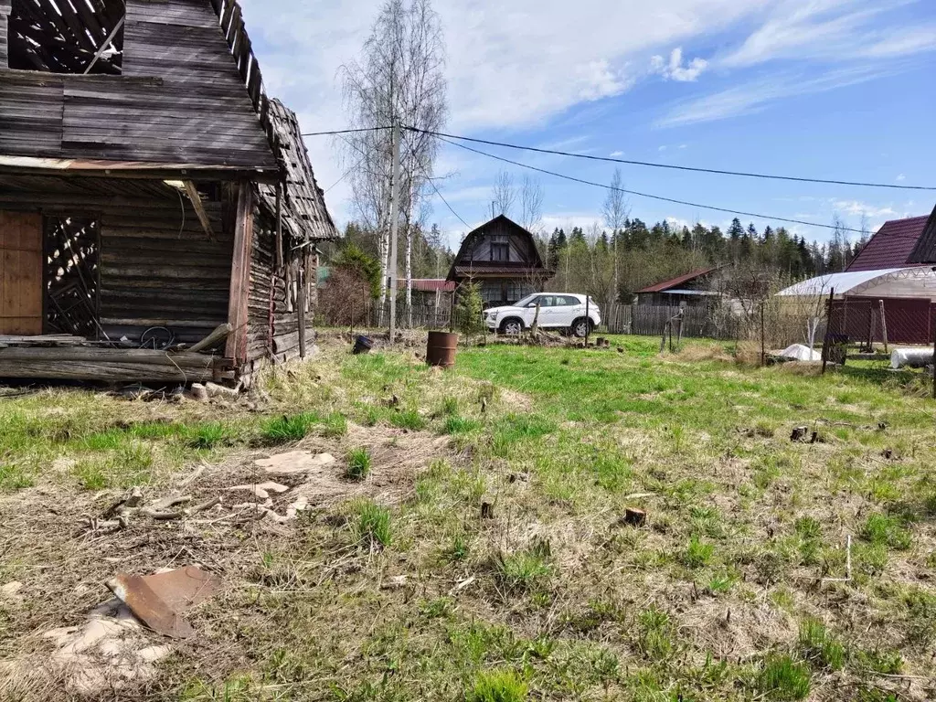 Участок в Ленинградская область, Тосненский район, Форносовское ... - Фото 1