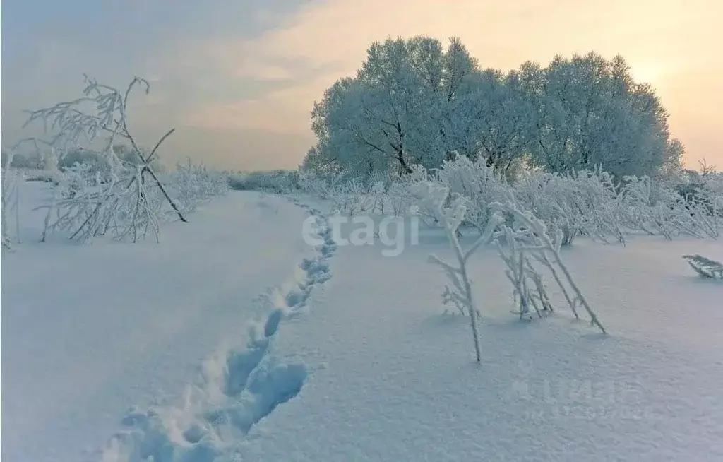 Участок в Хабаровский край, Комсомольск-на-Амуре  (10.0 сот.) - Фото 1