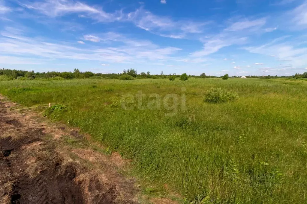 Участок в Тюменская область, Тюмень  (7.2 сот.) - Фото 0