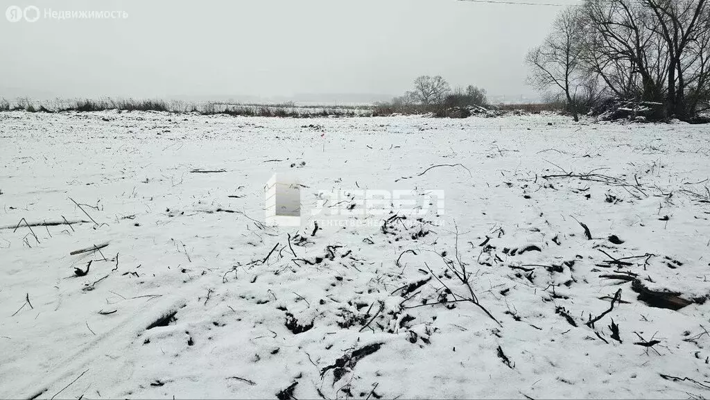 Участок в Московская область, городской округ Домодедово, село ... - Фото 1