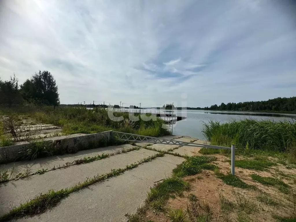 Участок в Костромская область, Красносельский район, Боровиковское ... - Фото 1