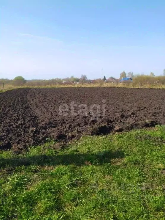 Участок в Воронежская область, Верхнехавский район, с. Большая ... - Фото 1