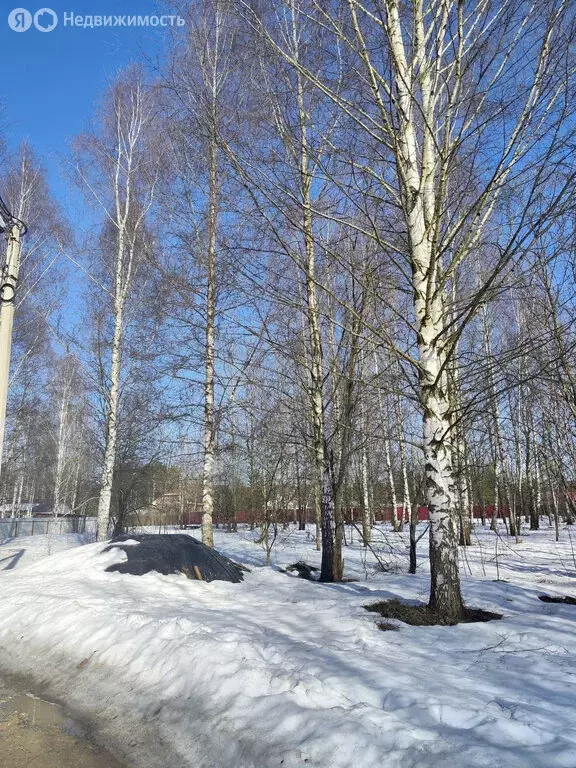 Участок в Московская область, Раменский муниципальный округ, ДНТ ... - Фото 2