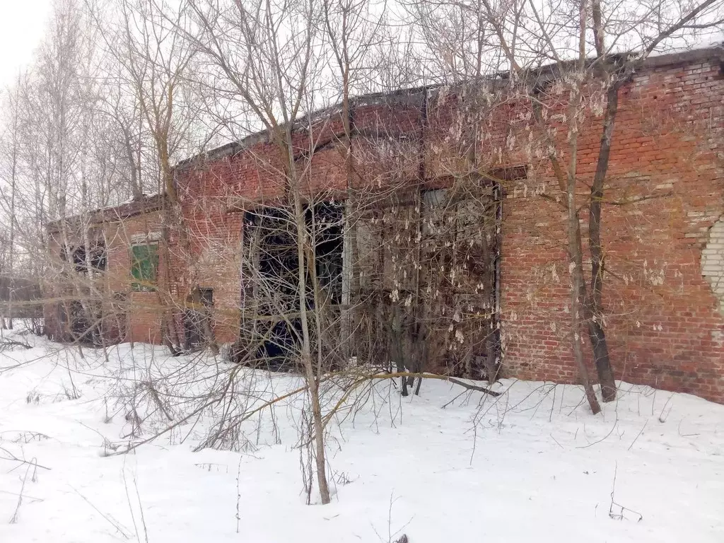 Склад в Тульская область, Узловский район, Каменецкое с/пос, пос. 2 ... - Фото 2