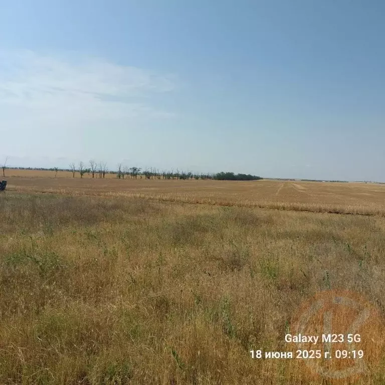 Участок в Крым, Черноморский район, с. Новоивановка  (4.0 сот.) - Фото 1