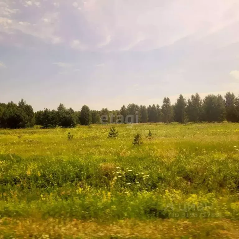 Участок в Владимирская область, Муром д. Коржавино, ул. Лесная, 8 ... - Фото 1