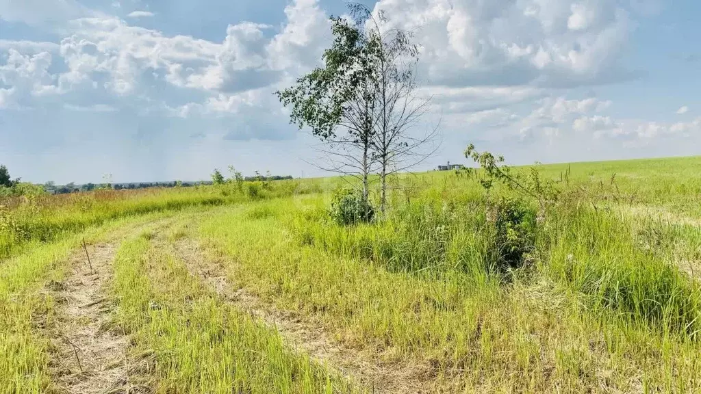 Участок в Тульская область, Новомосковск Сокольники мкр,  (13.6 сот.) - Фото 1