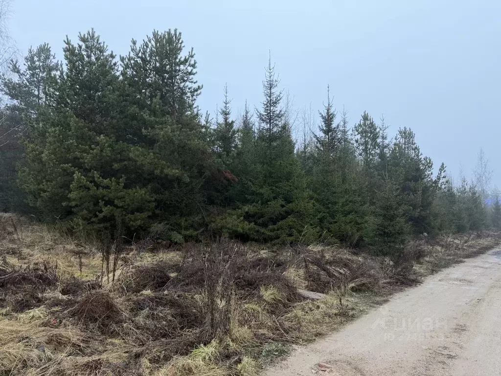 Участок в Владимирская область, Александров ул. Спасская, 67 (10.0 ... - Фото 1