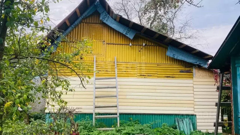 Дом в Ярославская область, Рыбинск Заветная ул. (33 м) - Фото 1