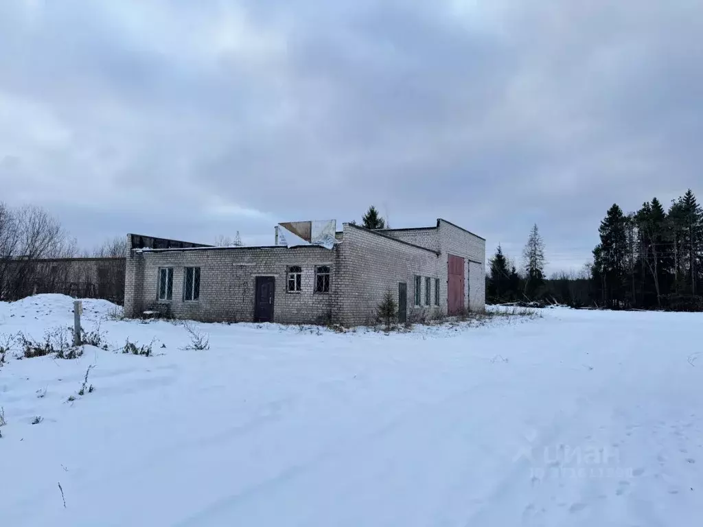 Помещение свободного назначения в Вологодская область, Великоустюгский ... - Фото 1