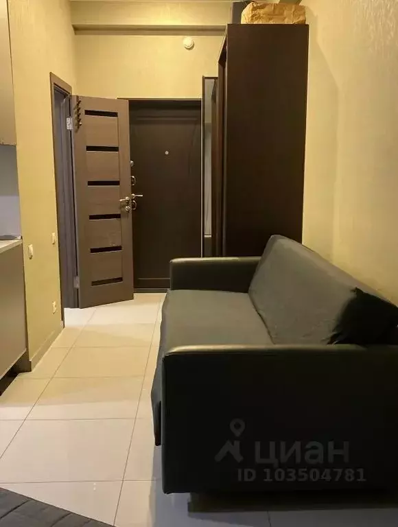 Студия Краснодарский край, Сочи ул. Просвещения, 147/1 (25.0 м) - Фото 2