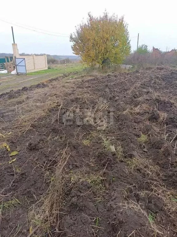 Участок в Ростовская область, Мясниковский район, Краснокрымское ... - Фото 0