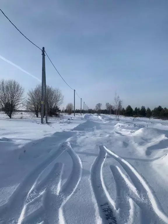 Участок в Татарстан, Верхнеуслонский район, с. Нижний Услон  (10.0 ... - Фото 2