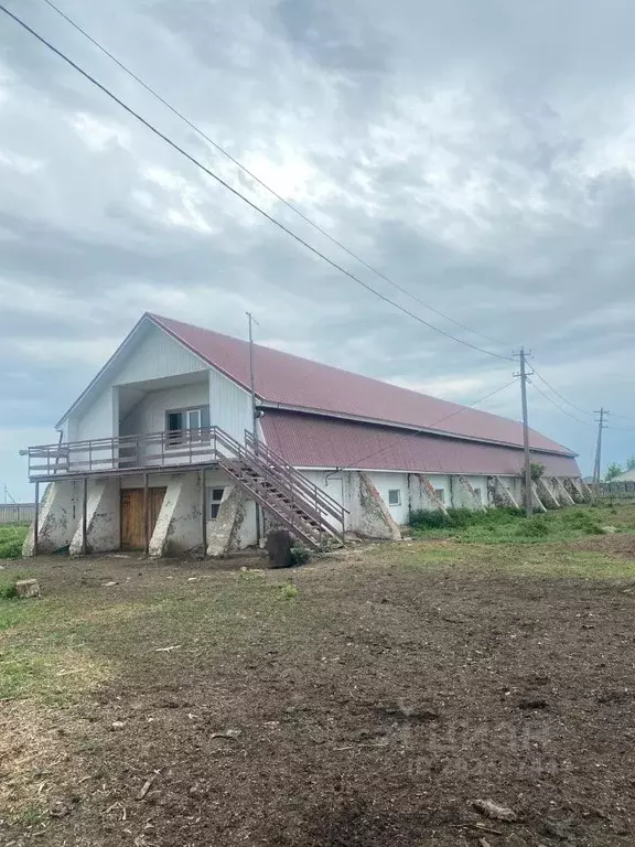 Помещение свободного назначения в Башкортостан, Уфимский район, ... - Фото 0