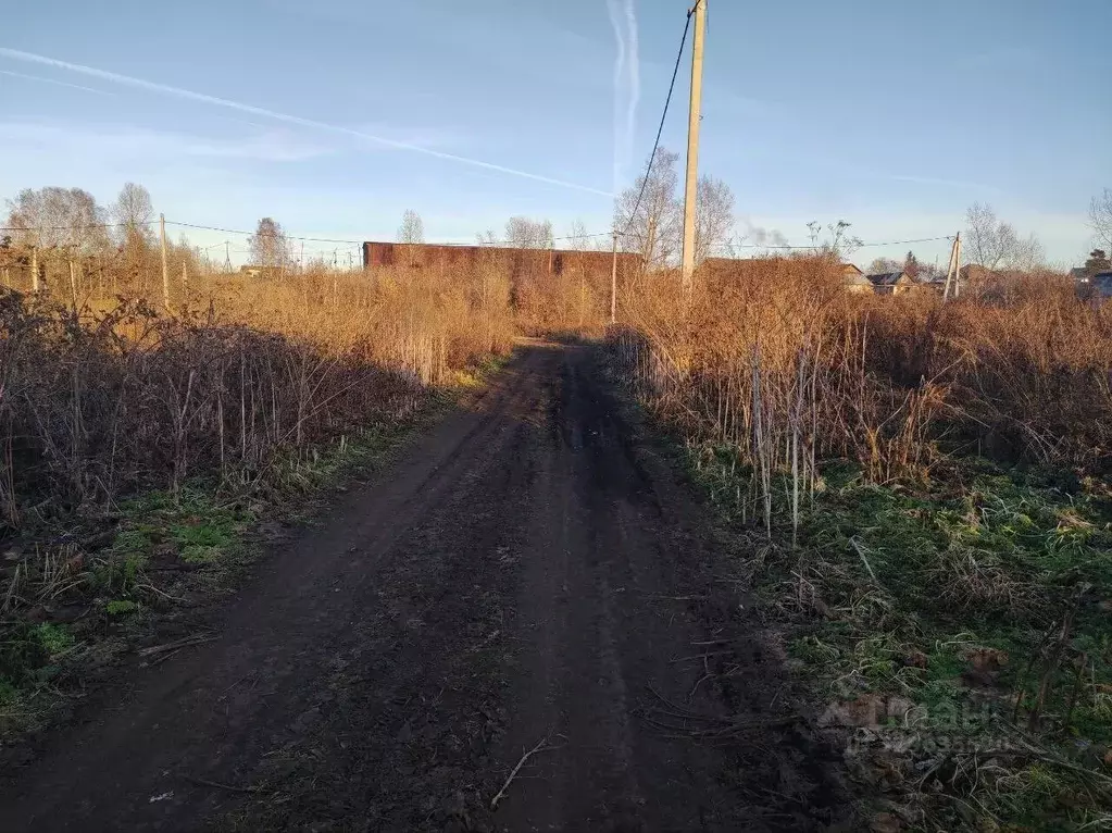 Участок в Кемеровская область, Кемеровский муниципальный округ, с. ... - Фото 2
