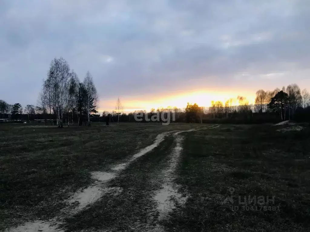 участок в тюменская область, нижнетавдинский район, д. московка (11.9 . - Фото 0