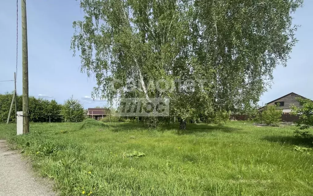 Участок в Челябинская область, Сосновский район, с. Вознесенка Зеленая ... - Фото 1