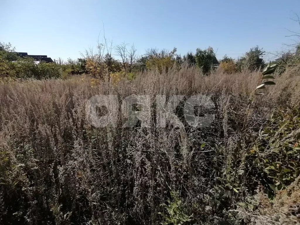 Участок в Волгоградская область, Городищенский район, Царицынское ... - Фото 1