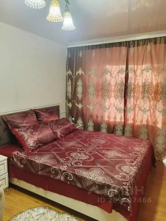 1-к кв. Камчатский край, Елизово Радужный пер., 1 (29.0 м) - Фото 2