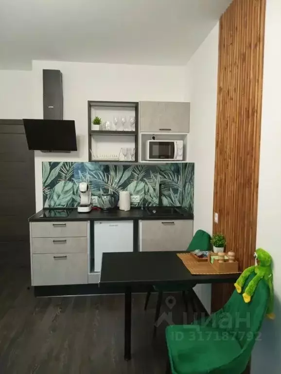 Студия Санкт-Петербург ул. Меридианная, 6к2 (25.0 м) - Фото 1