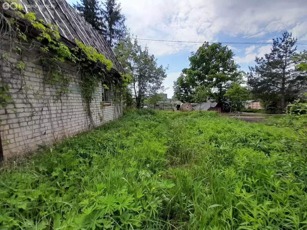 Дом в посёлок городского типа Панковка, Советская улица (45 м) - Фото 0