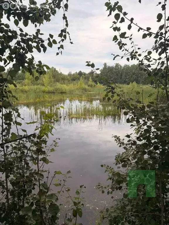 Участок в Медведевский район, Куярское сельское поселение, СНТ Лесное ... - Фото 1