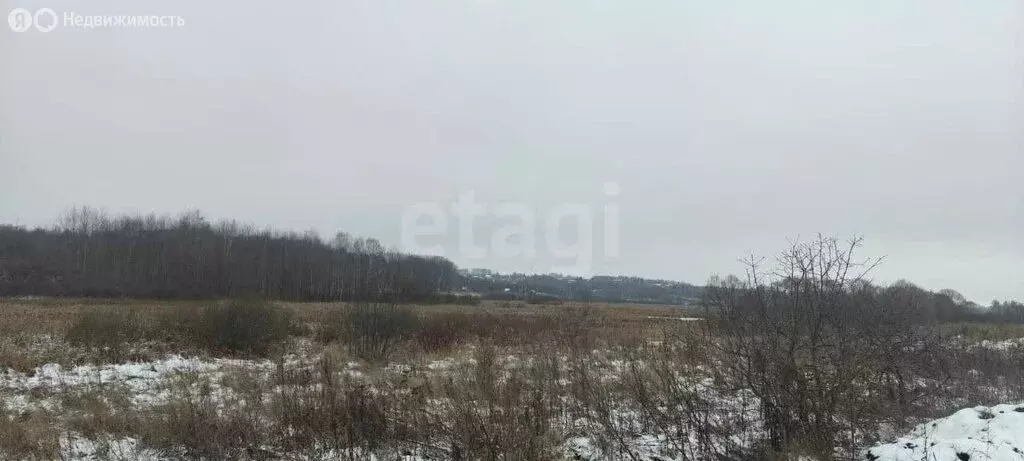 Участок в Тульская область, муниципальное образование Новомосковск, ... - Фото 0