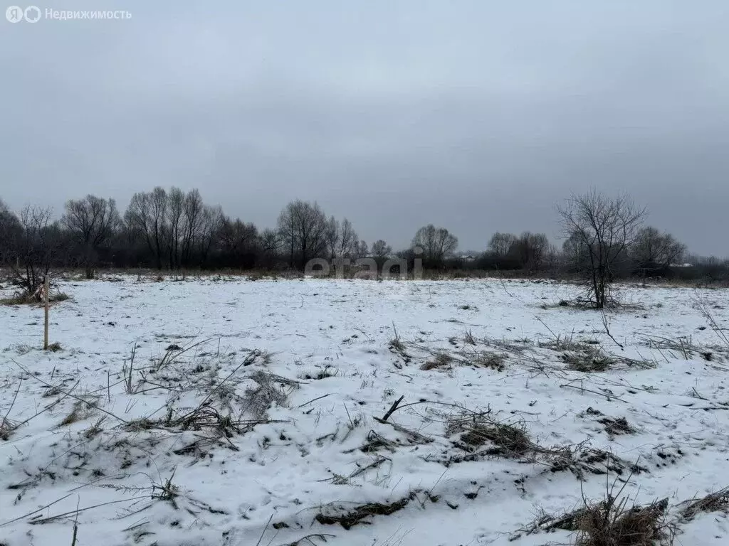 Участок в деревня Суровка, Прибрежная улица (7.5 м) - Фото 1