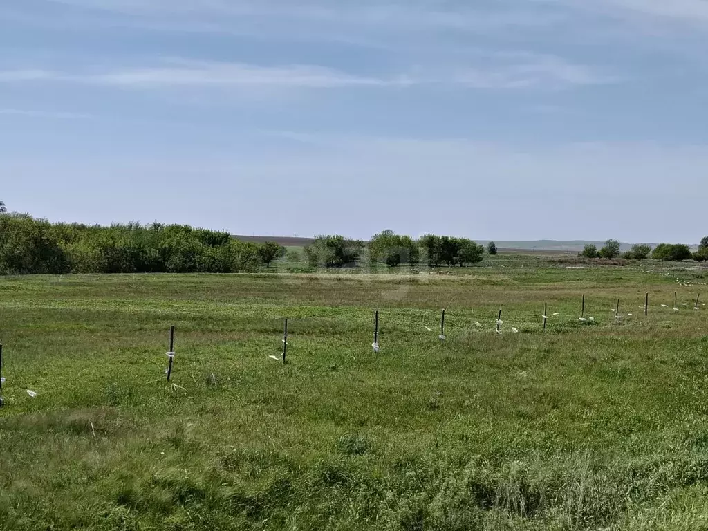 Участок в Оренбургская область, Сорочинский муниципальный округ, с. ... - Фото 2