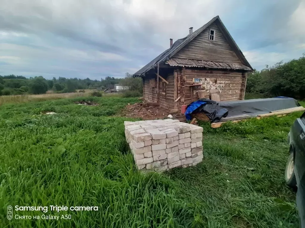 Участок в Тверская область, Оленинский район, д. Шарки (Гусевское ... - Фото 1