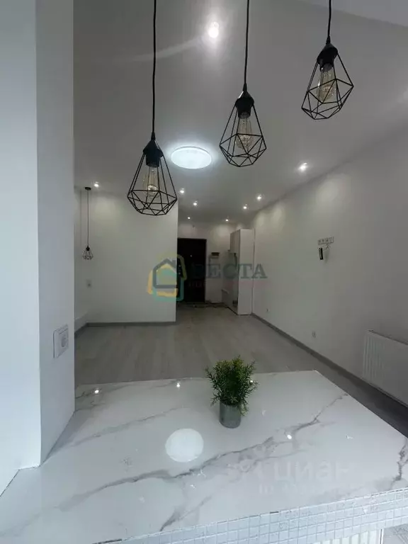 Студия Санкт-Петербург Студенческая ул., 14к1 (22.7 м) - Фото 2