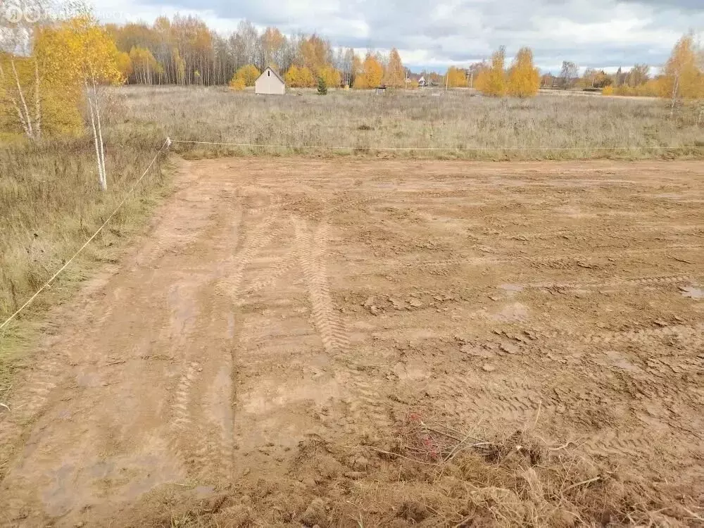 Участок в Нерехтский район, Волжское сельское поселение, деревня ... - Фото 2