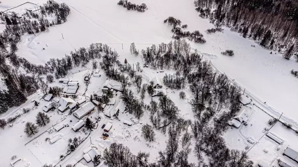 Участок в Пермский край, Пермский муниципальный округ, д. Тишкино ул. ... - Фото 2