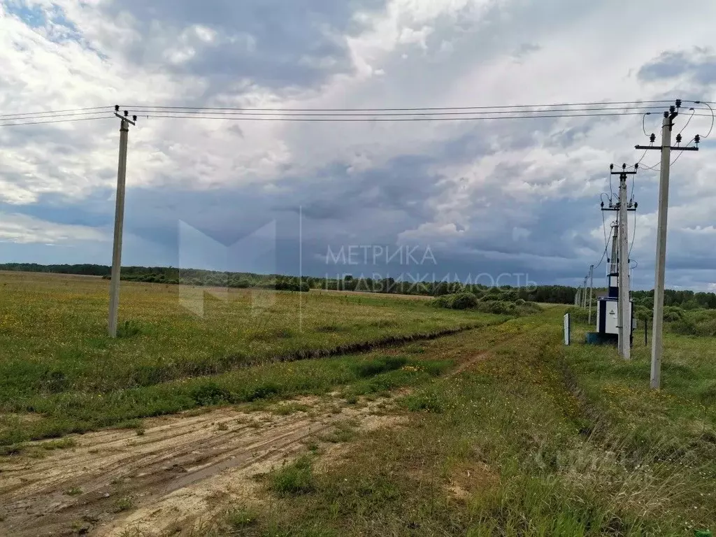 Участок в Тюменская область, Тюменский муниципальный округ, с. Кулига ... - Фото 1