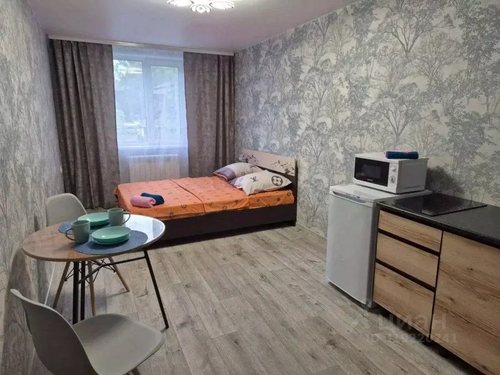 1-к кв. Томская область, Томск Петропавловская ул., 1/2 (30.0 м) - Фото 1