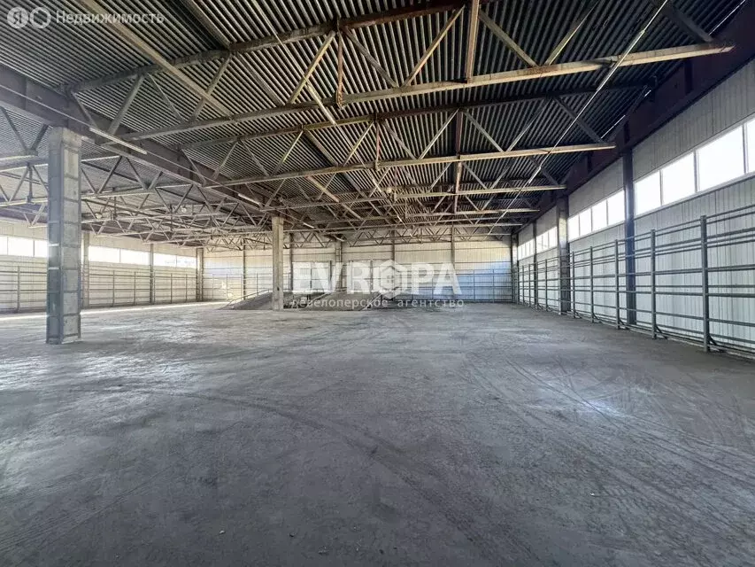 Склад (1328 м) - Фото 2