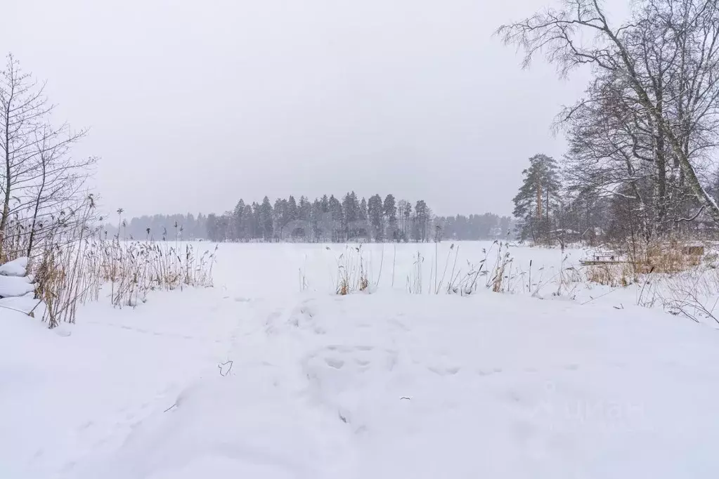 Участок в Ленинградская область, Выборгский район, Рощинское городское ... - Фото 2