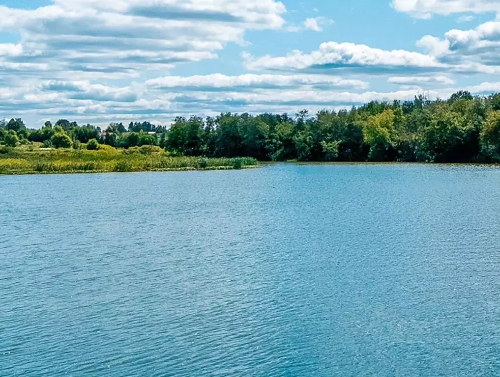 Участок в Московская область, Шаховская муниципальный округ, д. ... - Фото 1