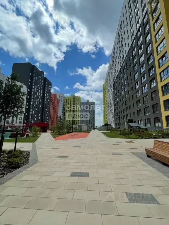 Студия Курская область, Курск ул. Энгельса, 115 (26.38 м) - Фото 0