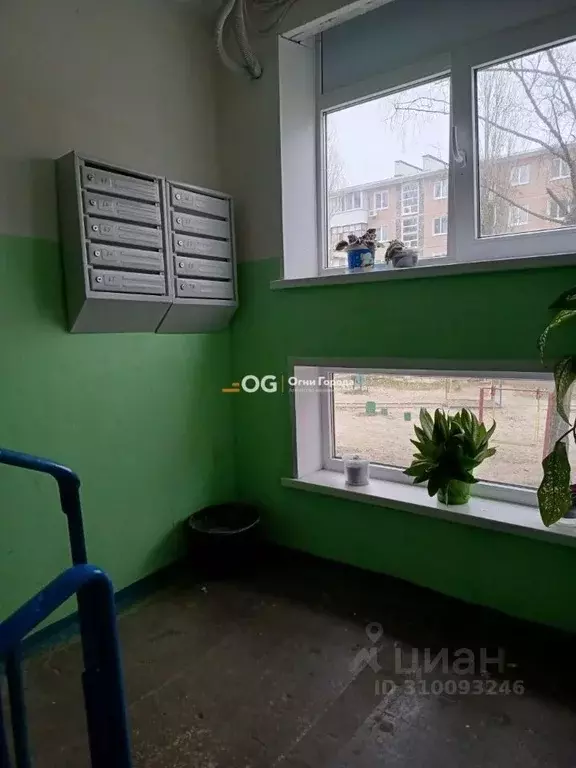 2-к кв. Брянская область, Брянск ул. Дружбы, 24 (45.3 м) - Фото 1