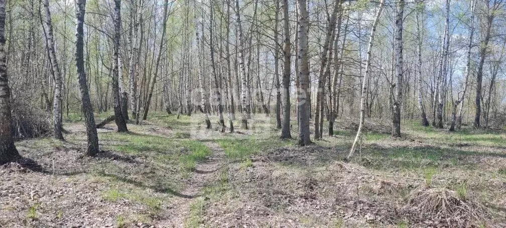 Участок в Курская область, Курск Цыганский Бугор кв-л,  (10.0 сот.) - Фото 1